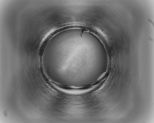 X0000094231310200710261248