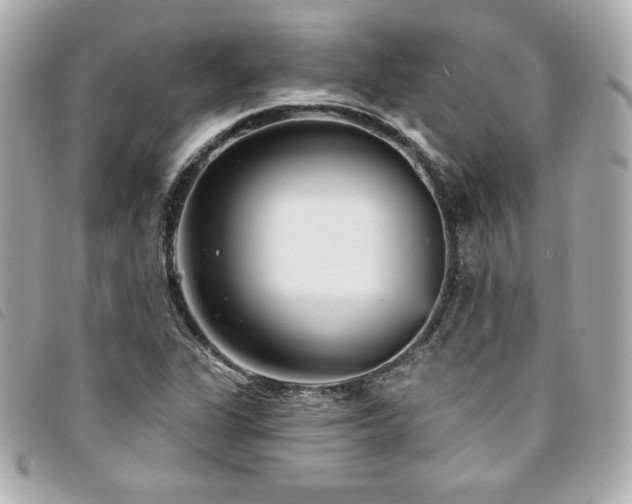 X0000094231311200710261248