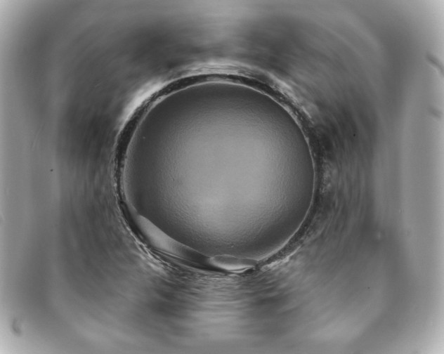X0000094231312200710261248