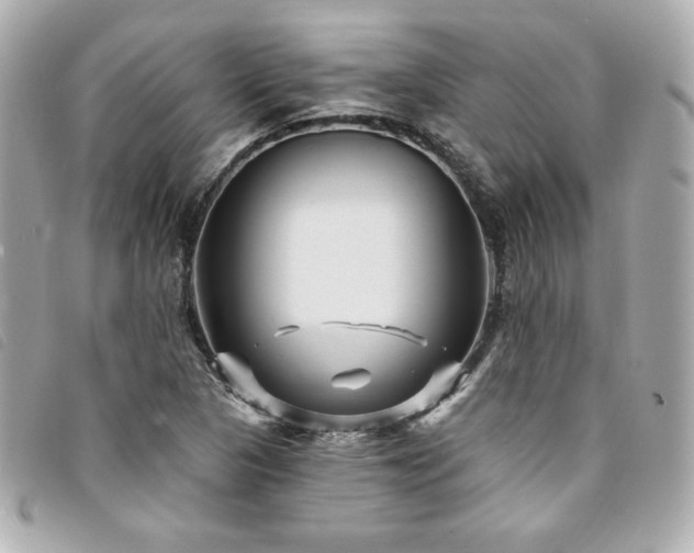 X0000094231313200710261248