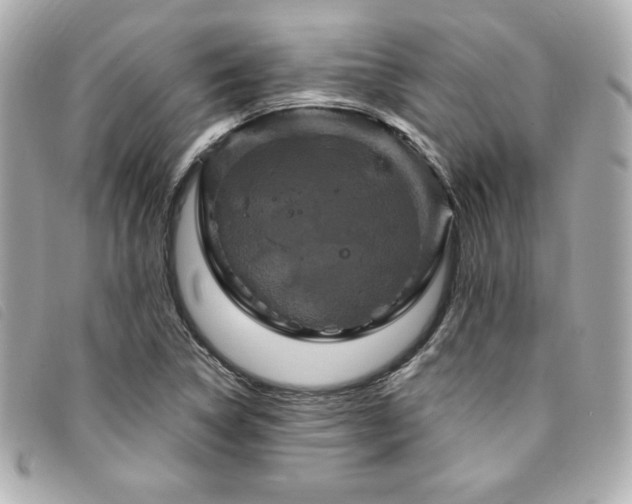X0000094231314200710261248