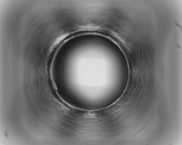 X0000094231315200710261248