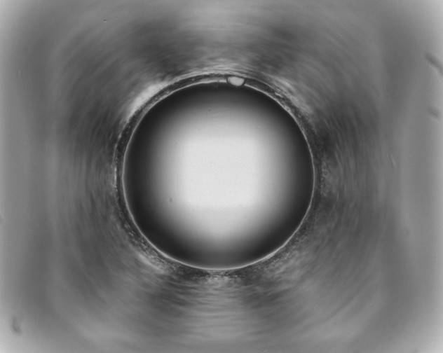 X0000094231316200710261248