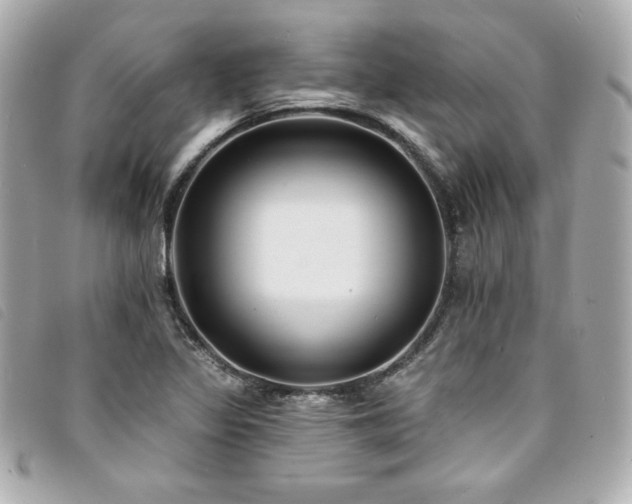 X0000094231317200710261248