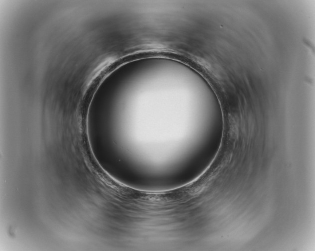 X0000094231318200710261248