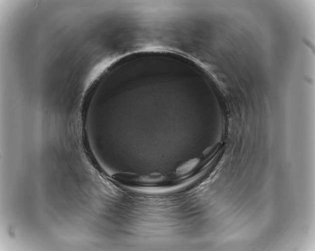 X0000094231319200710261248