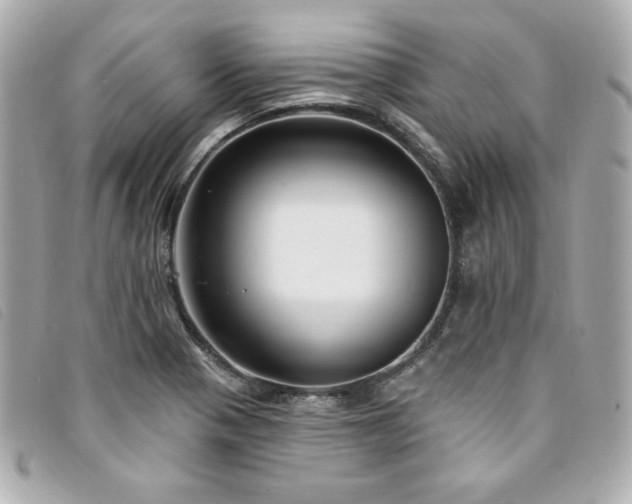 X0000094231321200710261248