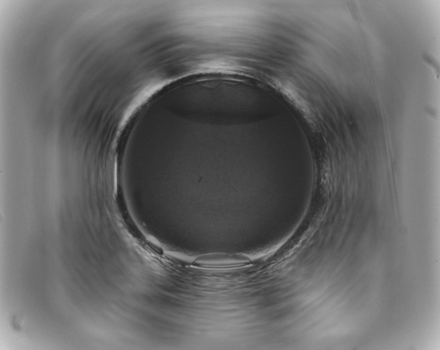 X0000094231323200710261249