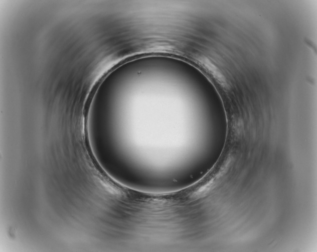 X0000094231324200710261249
