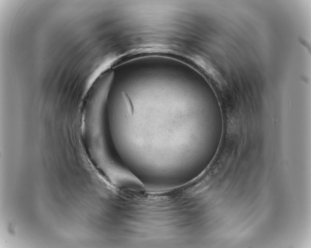 X0000094231325200710261249