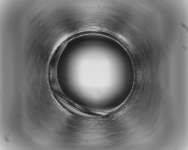 X0000094231326200710261249