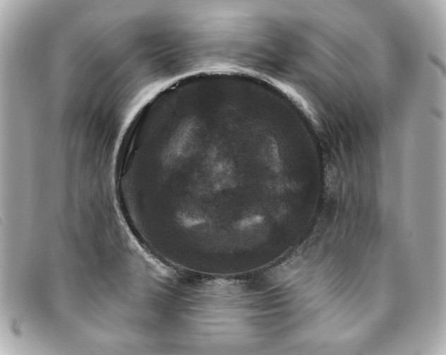 X0000094231327200710261249
