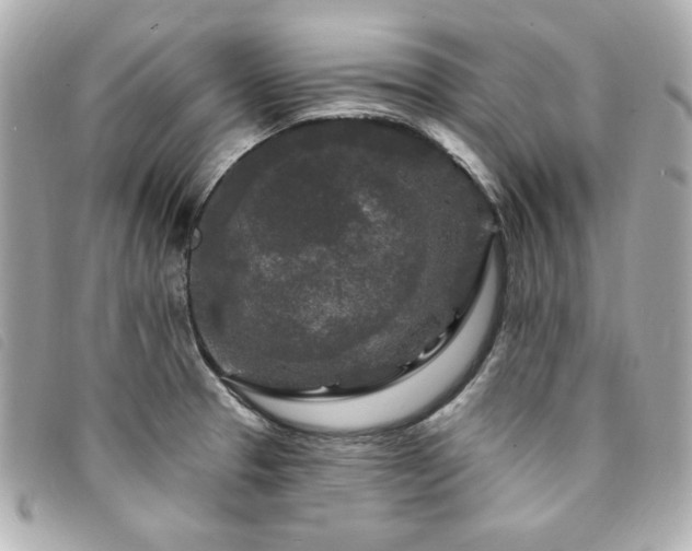 X0000094231329200710261249