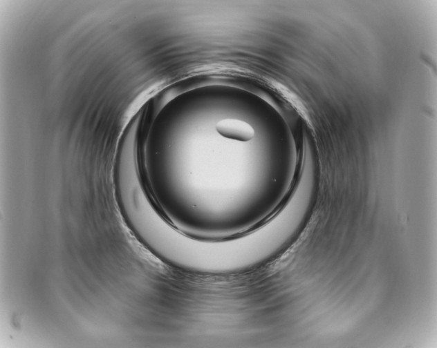 X0000094231330200710261249