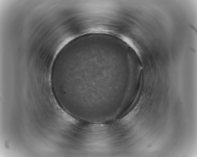 X0000094231331200710261249