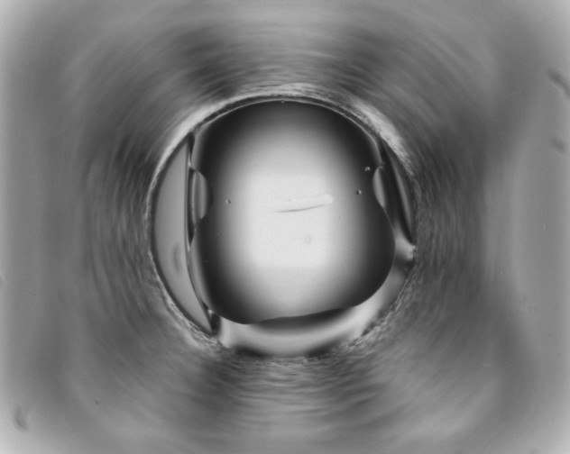 X0000094231332200710261249