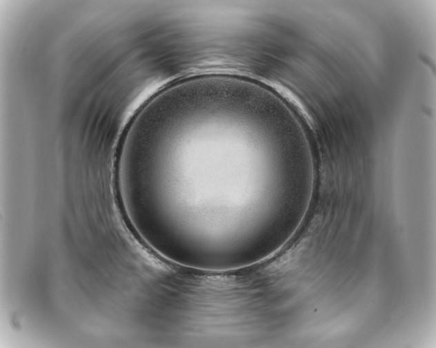 X0000094231333200710261249