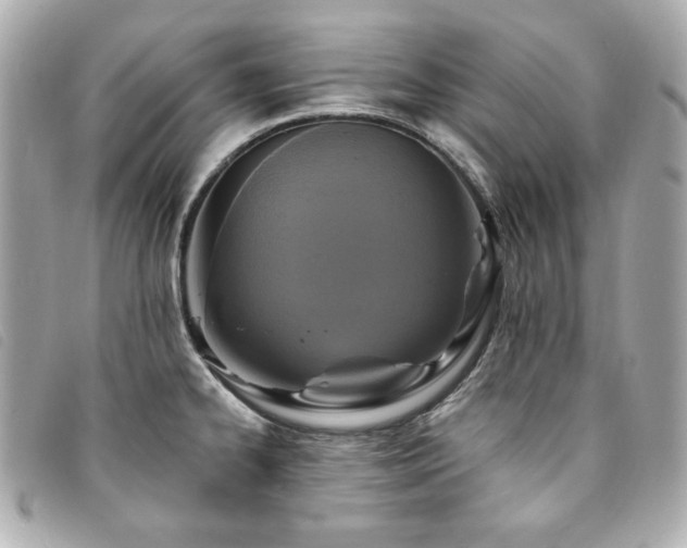 X0000094231334200710261249