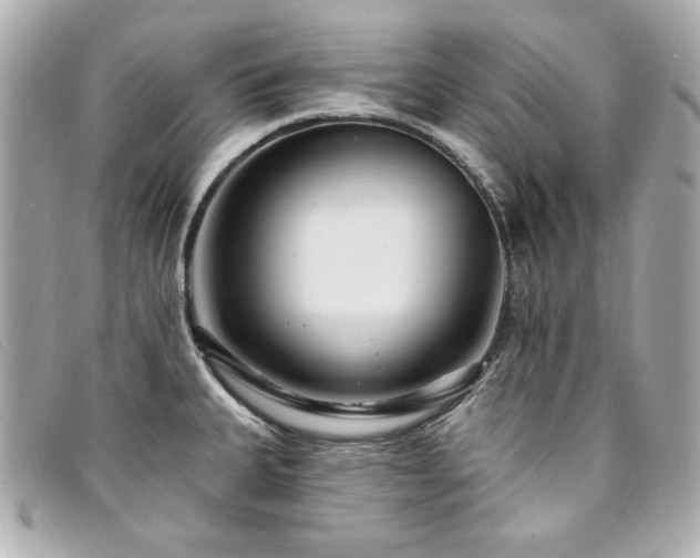 X0000094231335200710261249
