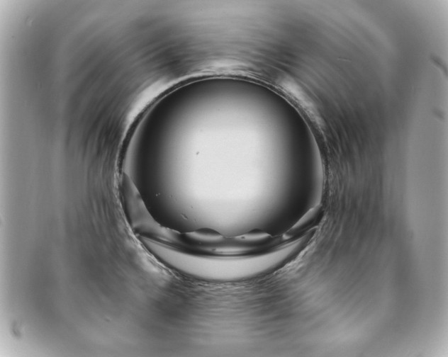 X0000094231336200710261249
