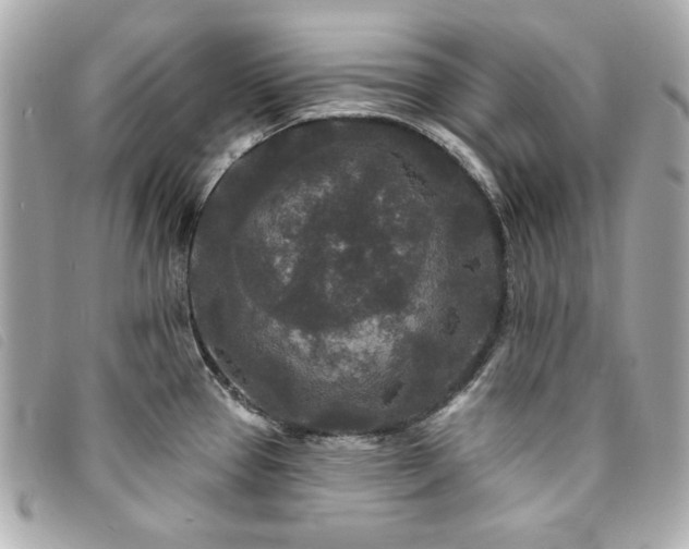 X0000094231337200710261249