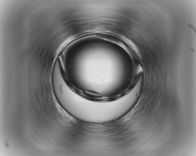 X0000094231338200710261249