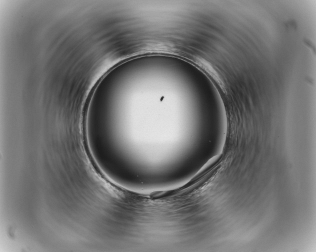 X0000094231339200710261249