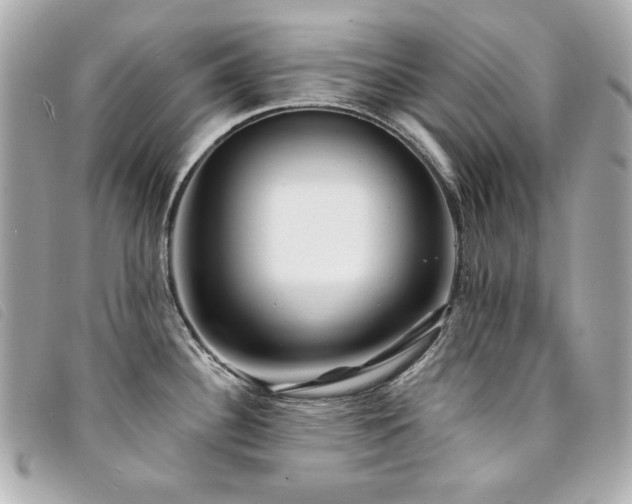 X0000094231340200710261249
