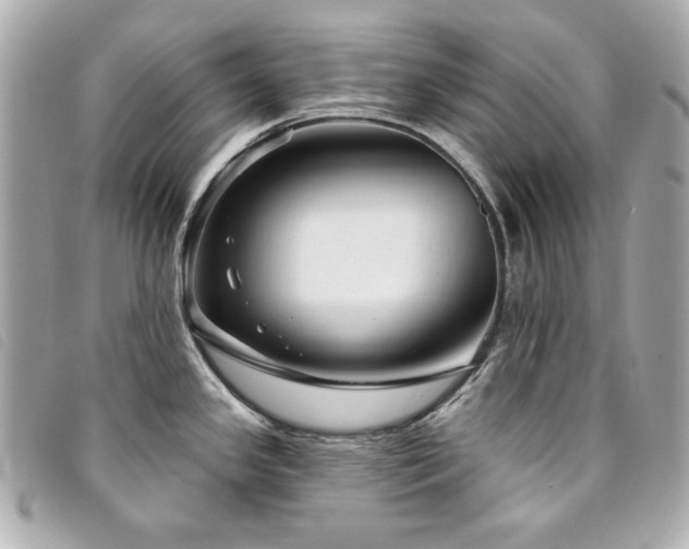 X0000094231341200710261249