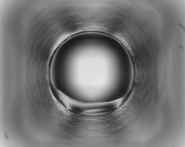 X0000094231342200710261249