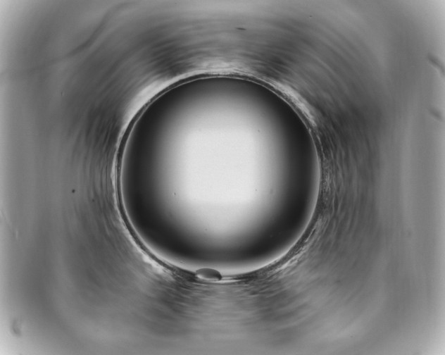 X0000094231343200710261249