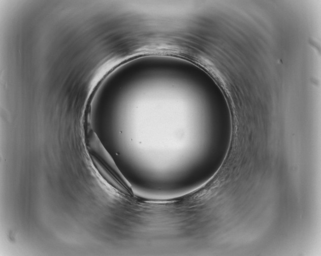 X0000094231344200710261249