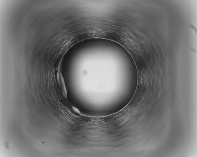 X0000094231346200710261248