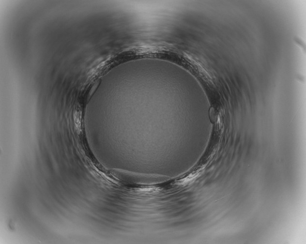 X0000094231348200710261248