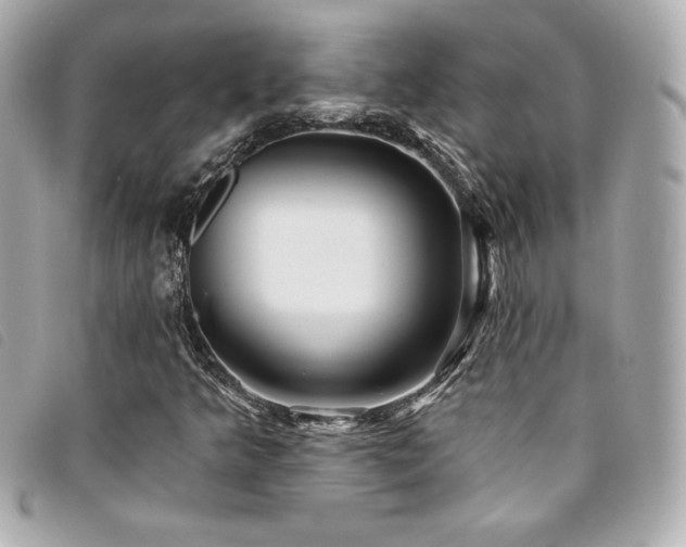 X0000094231349200710261248