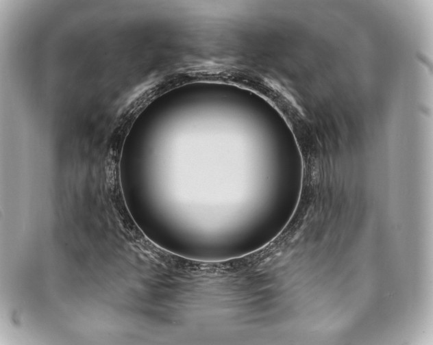 X0000094231350200710261248