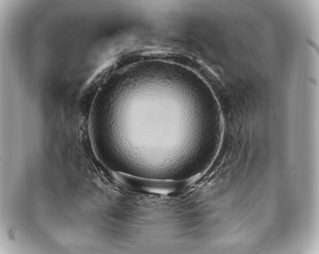 X0000094231351200710261248