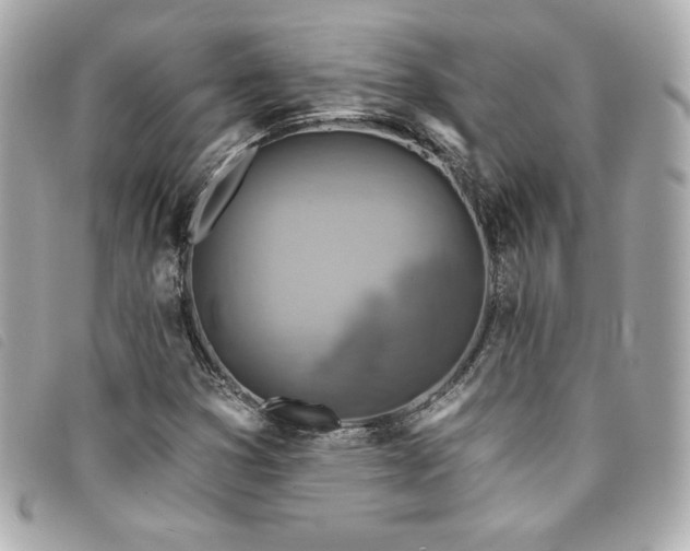 X0000094231353200710261248