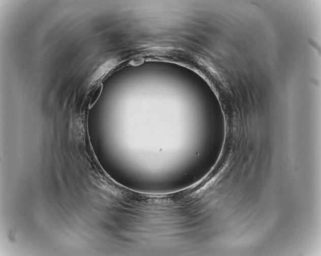 X0000094231354200710261248