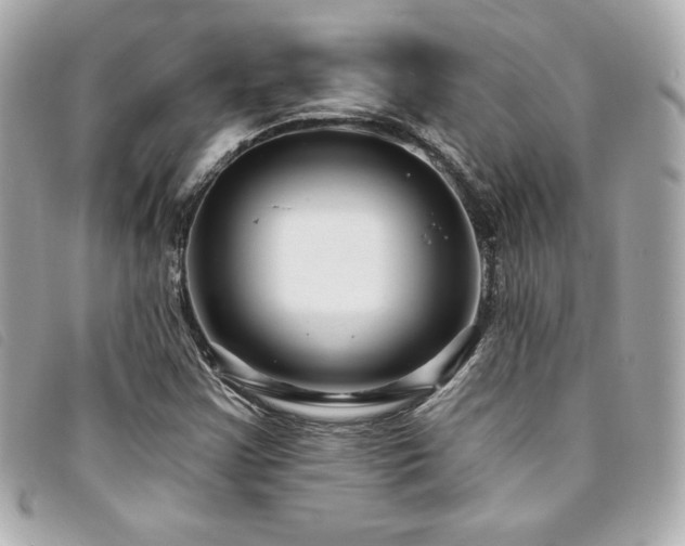 X0000094231355200710261248
