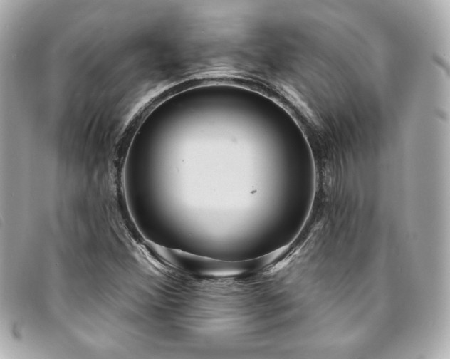 X0000094231356200710261248