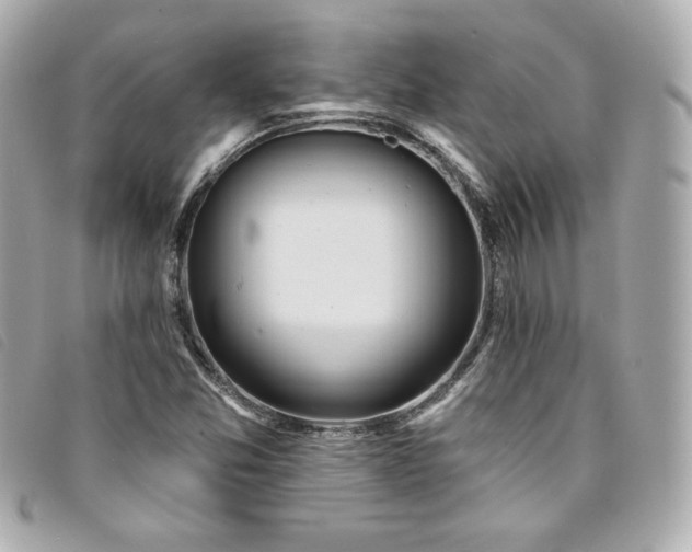 X0000094231357200710261248