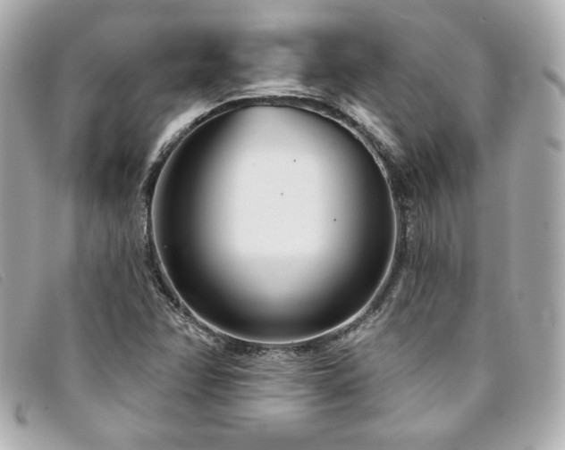 X0000094231358200710261248