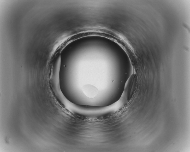 X0000094231360200710261248