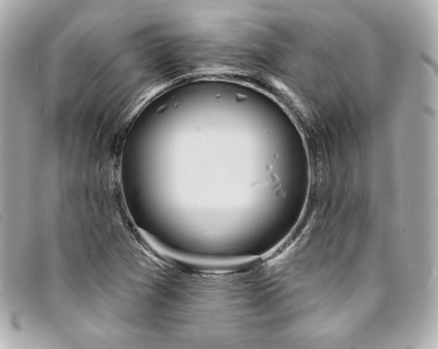 X0000094231361200710261248