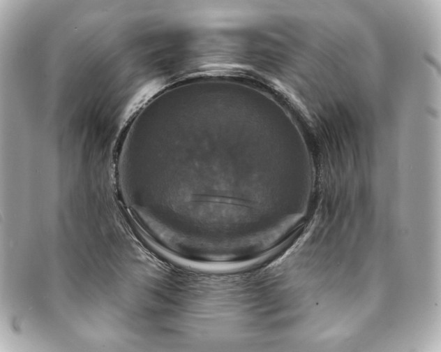 X0000094231362200710261248