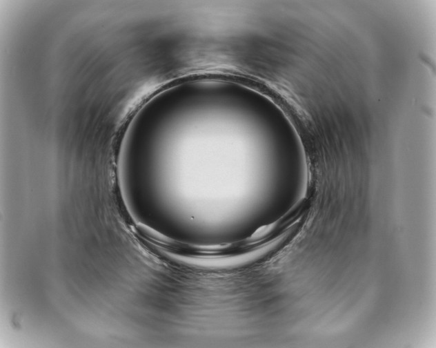 X0000094231363200710261248