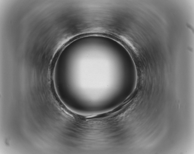 X0000094231364200710261248