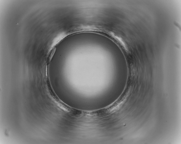 X0000094231365200710261248