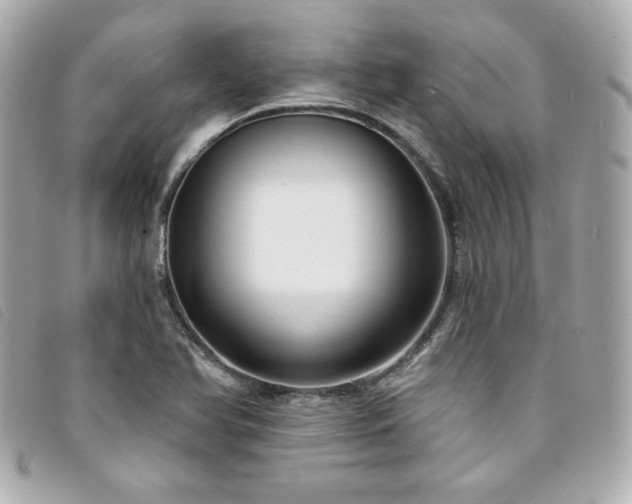 X0000094231366200710261248